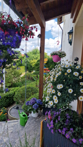 Ferienwohnung Wiesental, Fremdenzimmer, Zimmer, nähe, Legoland, Günzburg, Burgau, Therapiezentrum Burgau, Unterkunft, Übernachtung, Wohnung, Radtouren, Fahrrad, Ferienhaus, Radtourismus Bayern, Schwaben, Allgäu, Unterkunft, Übernachtung, vermietung