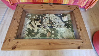 Ferienwohnung Wiesental, Fremdenzimmer, Zimmer, nähe, Legoland, Günzburg, Burgau, Therapiezentrum Burgau, Unterkunft, Übernachtung, Wohnung, Radtouren, Fahrrad, Ferienhaus, Radtourismus Bayern, Schwaben, Allgäu, Unterkunft, Übernachtung, vermietung
